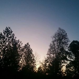 Meet your Posher, Mandi